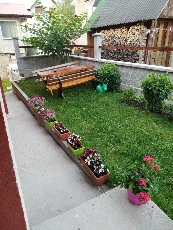 Apartments Bozovic Žabljak Εξωτερικό φωτογραφία