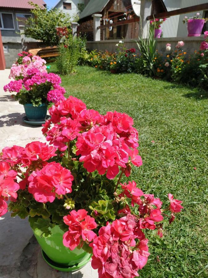 Apartments Bozovic Žabljak Εξωτερικό φωτογραφία